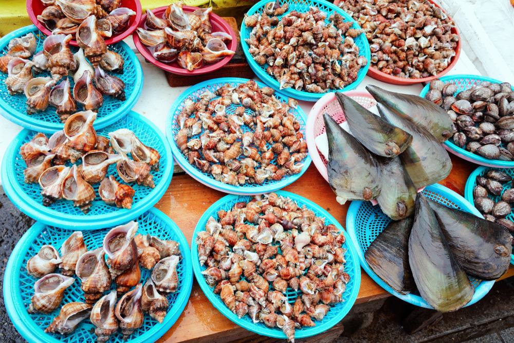 15 Best Things to Do in Busan (South Korea)