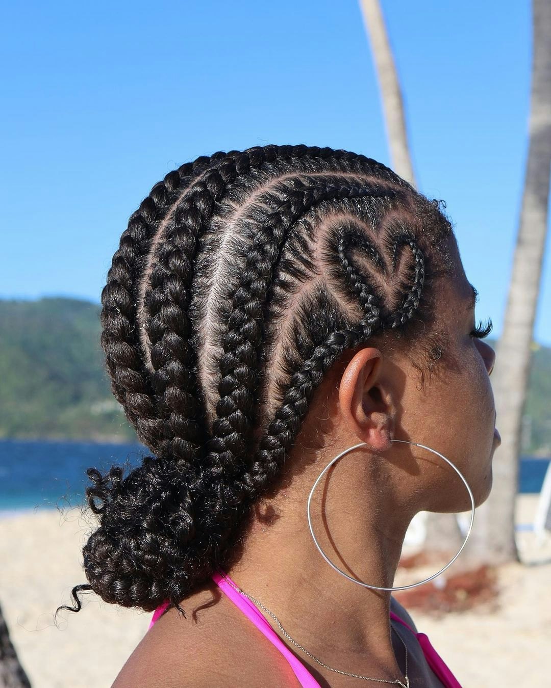 Hairstyles with Braids for Women Design 6